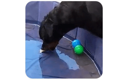 Module 3 High School impulse control training